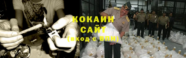 гашик Михайлов