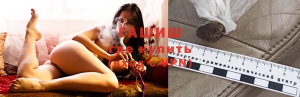 гашик Михайлов