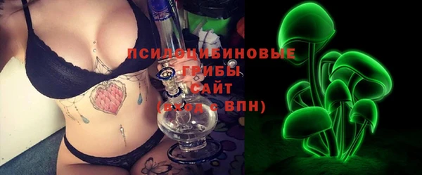 гашик Михайлов