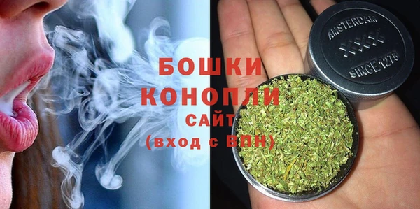 гашик Михайлов