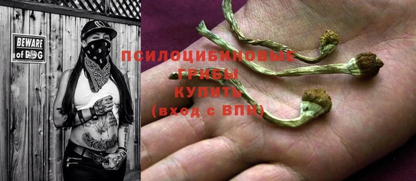 гашик Михайлов