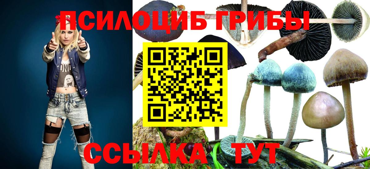 ГАШИШ  COCAIN  APVP СК   MDMA  Михайловск  МАРИХУАНА  Мефедрон кристаллы  МАРИХУАНА  Вход с VPN 