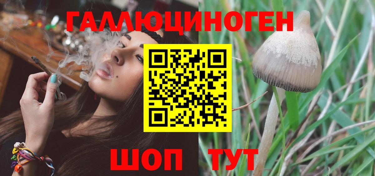 Михайловск  Галлюциногенные грибы прущие грибы  Вход с VPN 