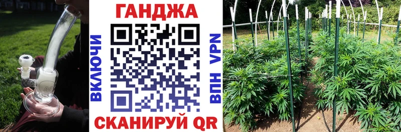 Бошки Шишки конопля  Михайловск 